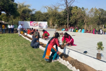 Tree-planting drive