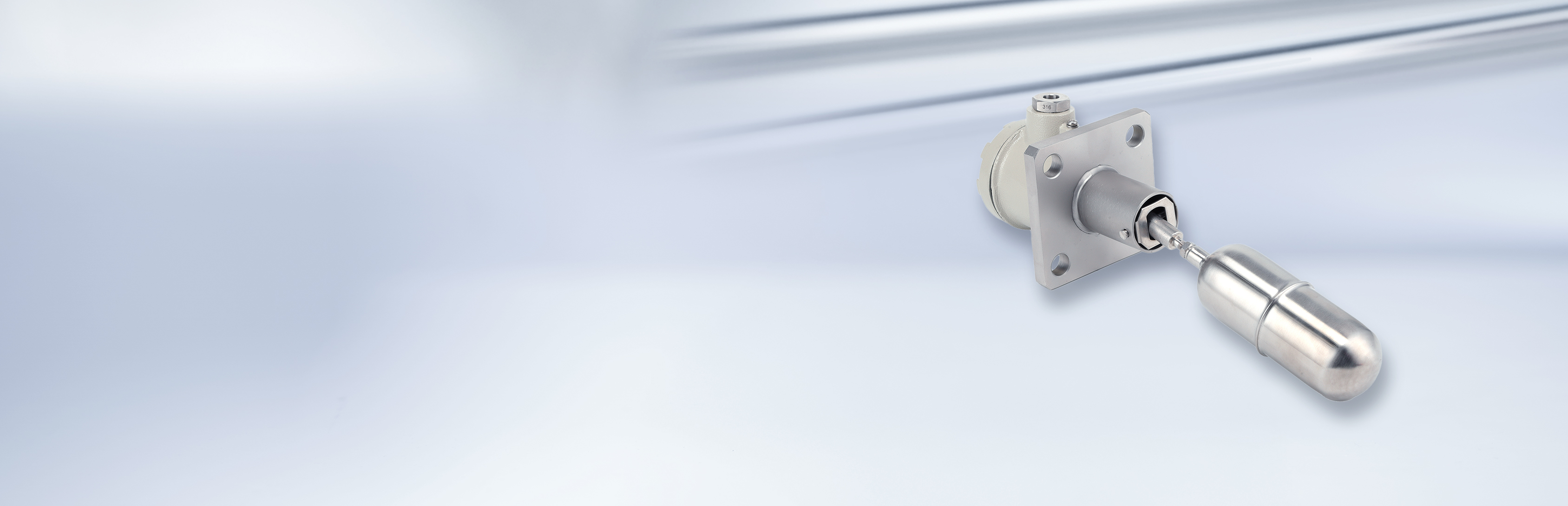 Level switches