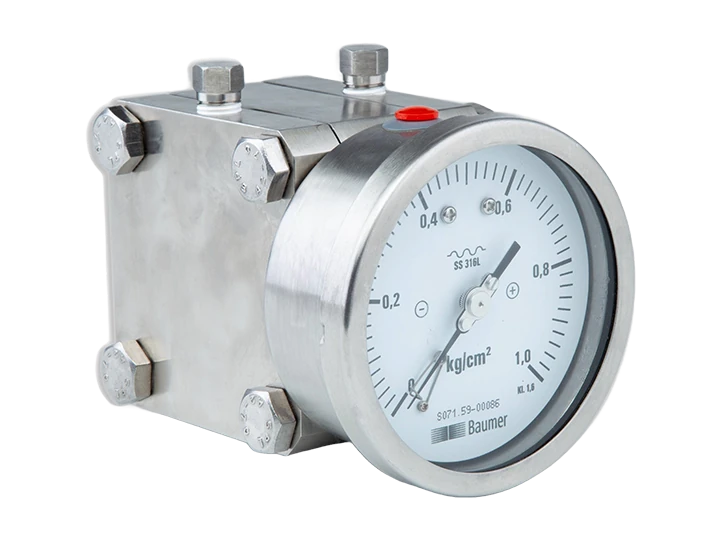 Differential pressure gauges with double diaphragm
