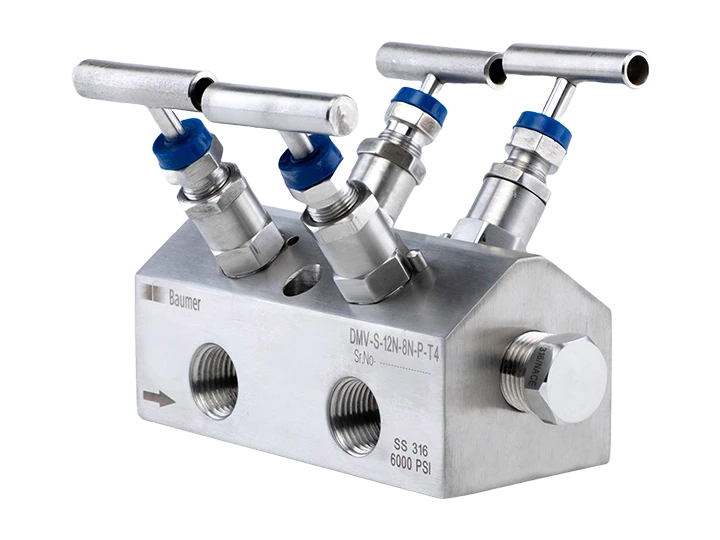 Distribution manifold valves