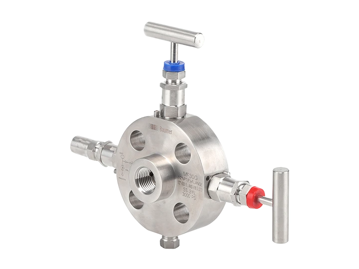Monoflange double block & bleed valves
